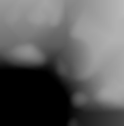 Member Image