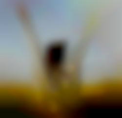 Member Image