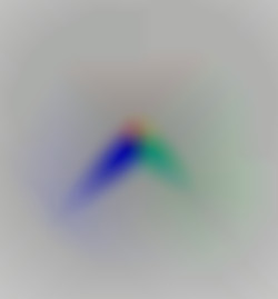 Member Image