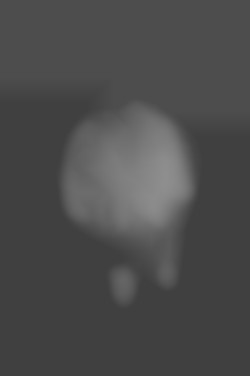 Member Image