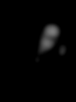Member Image