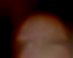 Member Image
