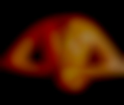 Member Image