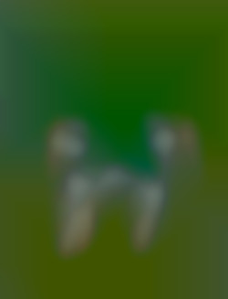 Member Image