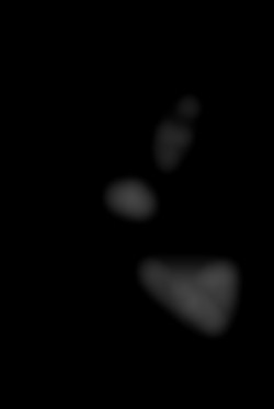 Member Image