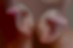 Member Image