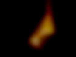Member Image