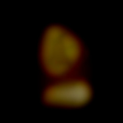 Member Image