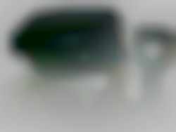 Member Image