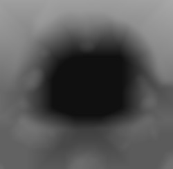 Member Image