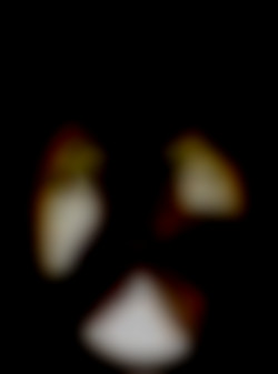 Member Image