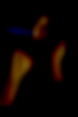 Member Image