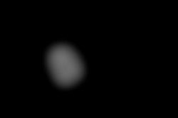 Member Image