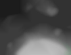 Member Image
