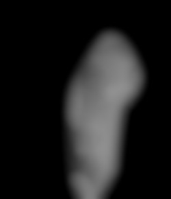 Member Image