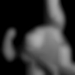 Member Image
