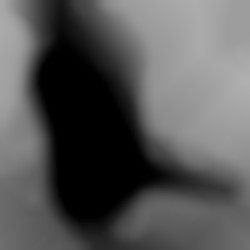 Member Image