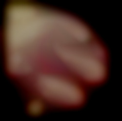 Member Image