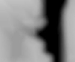 Member Image