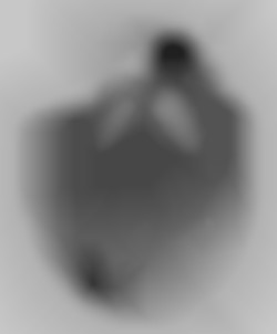 Member Image