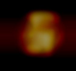 Member Image