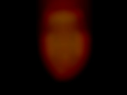 Member Image
