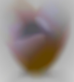 Member Image