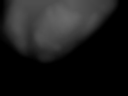 Member Image