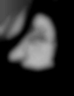 Member Image