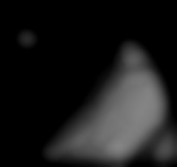 Member Image