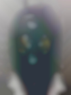 Member Image