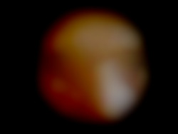 Member Image