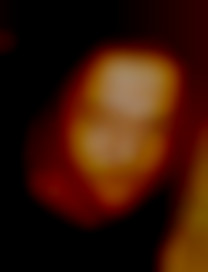 Member Image
