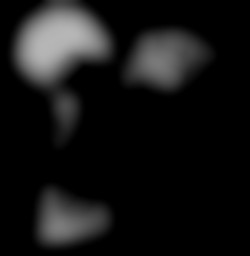 Member Image
