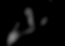 Member Image