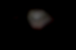 Member Image