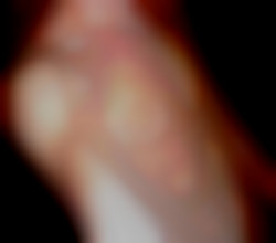 Member Image