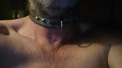 Member Image