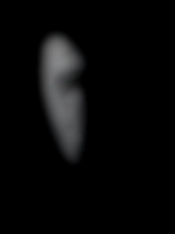 Member Image