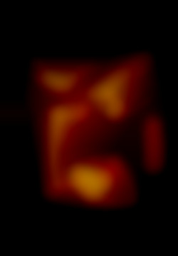 Member Image