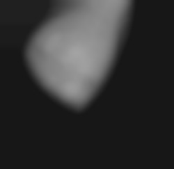 Member Image