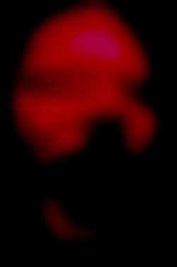 Member Image