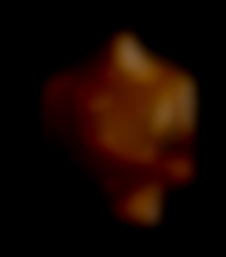 Member Image
