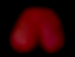 Member Image