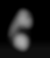 Member Image
