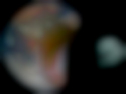 Member Image