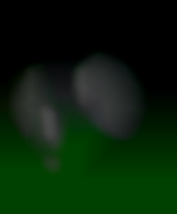 Member Image
