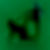 Member Image
