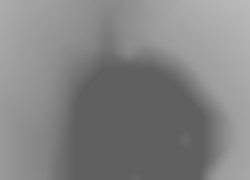 Member Image