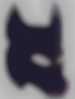 Member Image